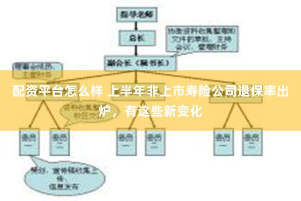 配资平台怎么样 上半年非上市寿险公司退保率出炉，有这些新变化