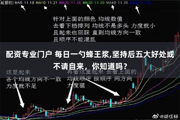 配资专业门户 每日一勺蜂王浆,坚持后五大好处或不请自来，你知道吗？