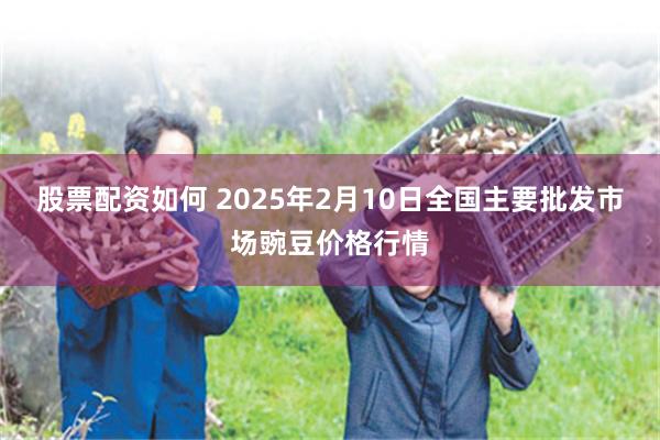 股票配资如何 2025年2月10日全国主要批发市场豌豆价格行情